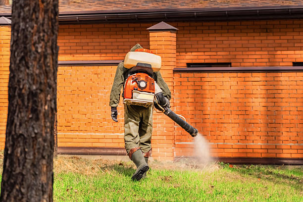 Top rated local Ant Control specialists in Yarrow Point, WA